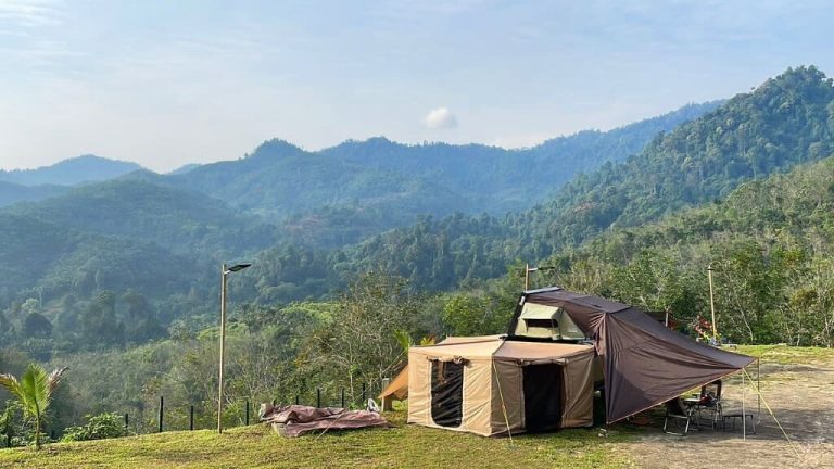zen forest campsite photo 9 768x432