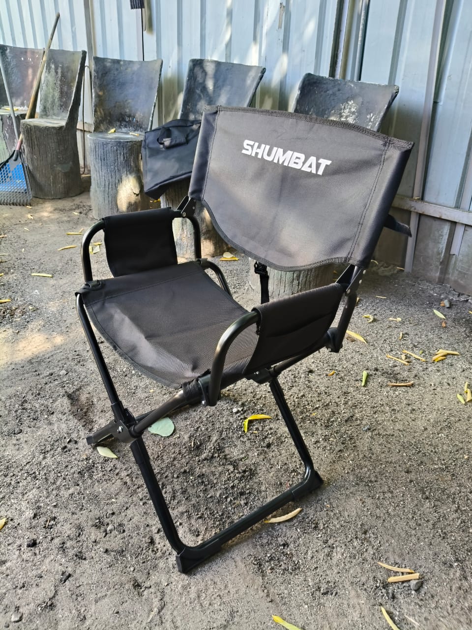 Director Chair